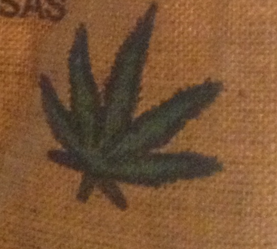 Marijuana leaf. Photo: SCV Bail Bonds